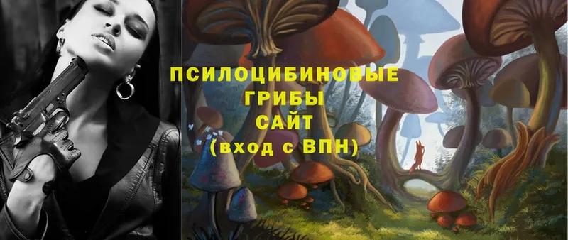 Галлюциногенные грибы MAGIC MUSHROOMS  продажа наркотиков  Орлов 